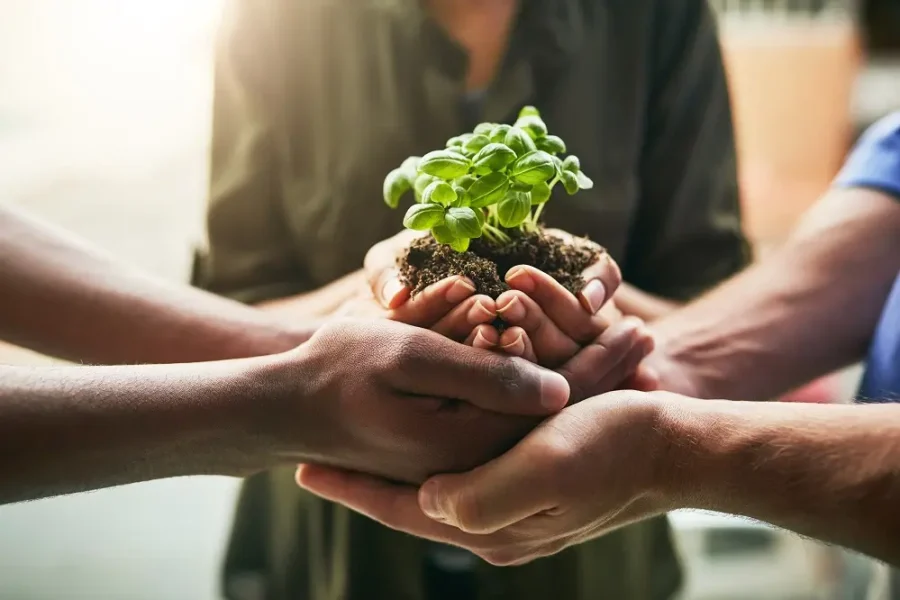 Ecotrado-Nuestra-vision-sector-ecologico